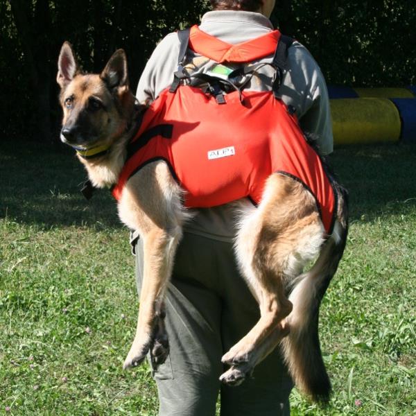 KONG - Travel - Auto Sicherheitsgurt-Adapter - Hund – WOOFSTUFF - SHOP FOR  DOGS
